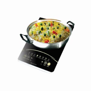 INDUCTION COOKER SG 1041