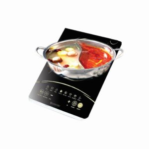 INDUCTION COOKER SG 1043