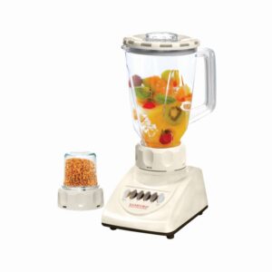 BLENDER 2IN1 SG 8013